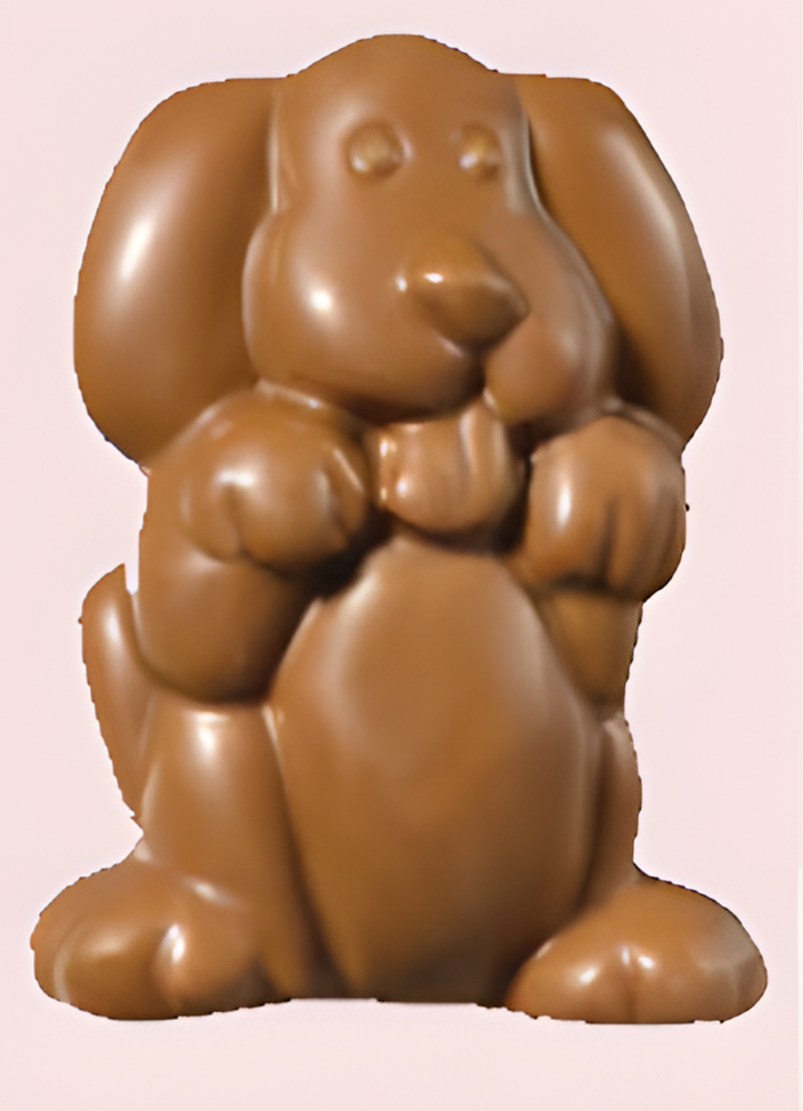 2.25 oz. Milk Chocolate Dog